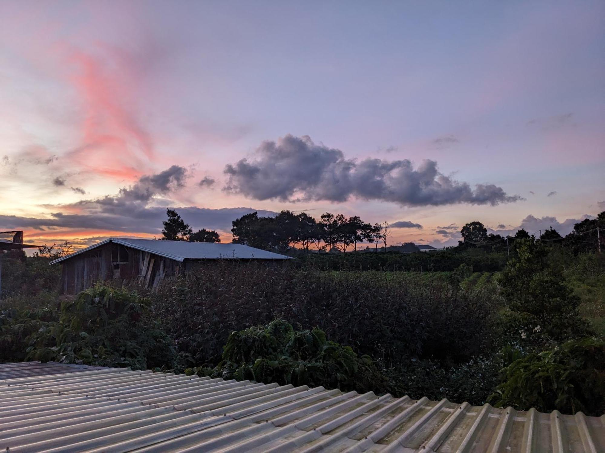 Ivy Coffee Farm - Garden House Leilighet Duc Trong Rom bilde