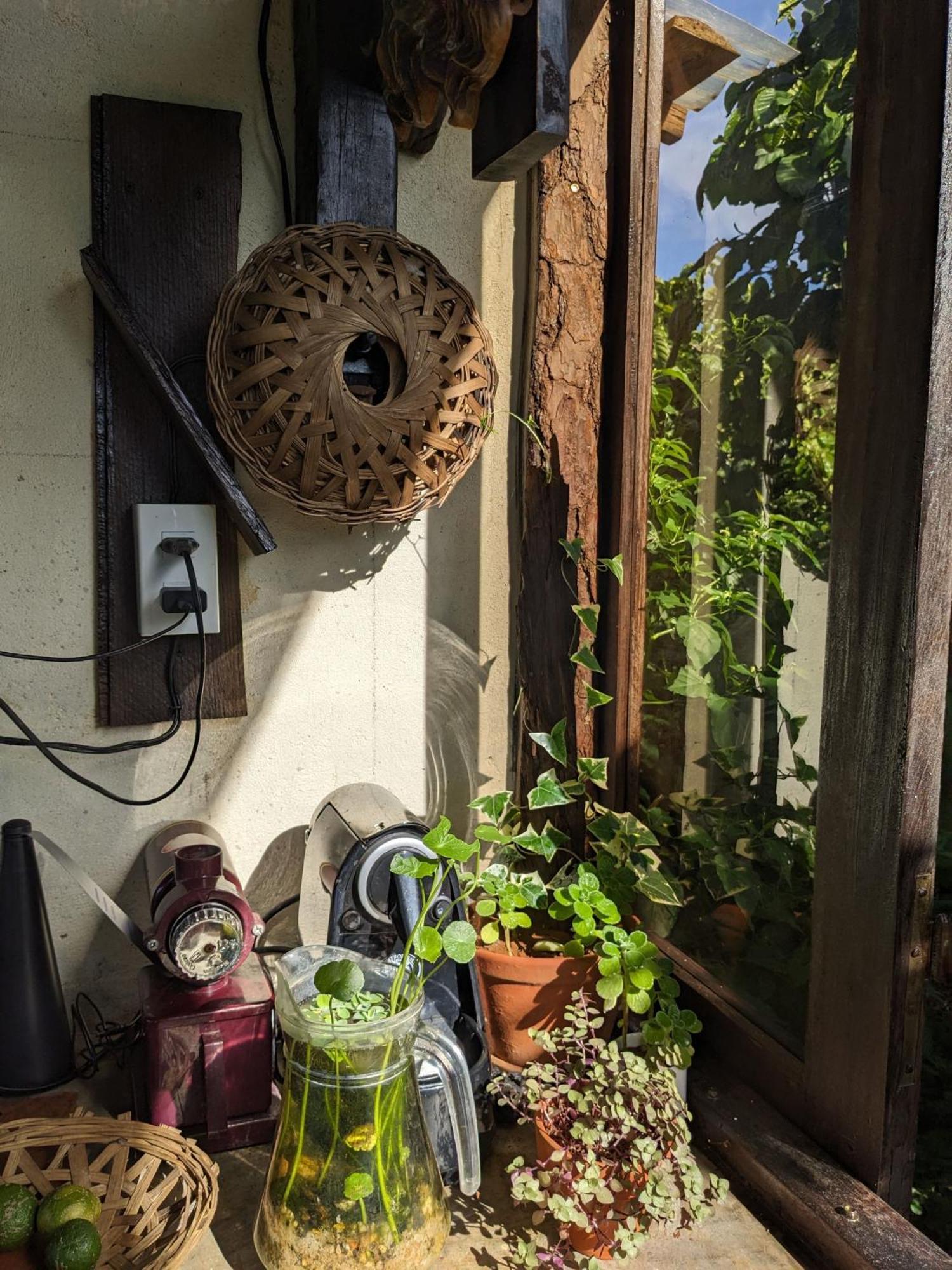 Ivy Coffee Farm - Garden House Leilighet Duc Trong Eksteriør bilde