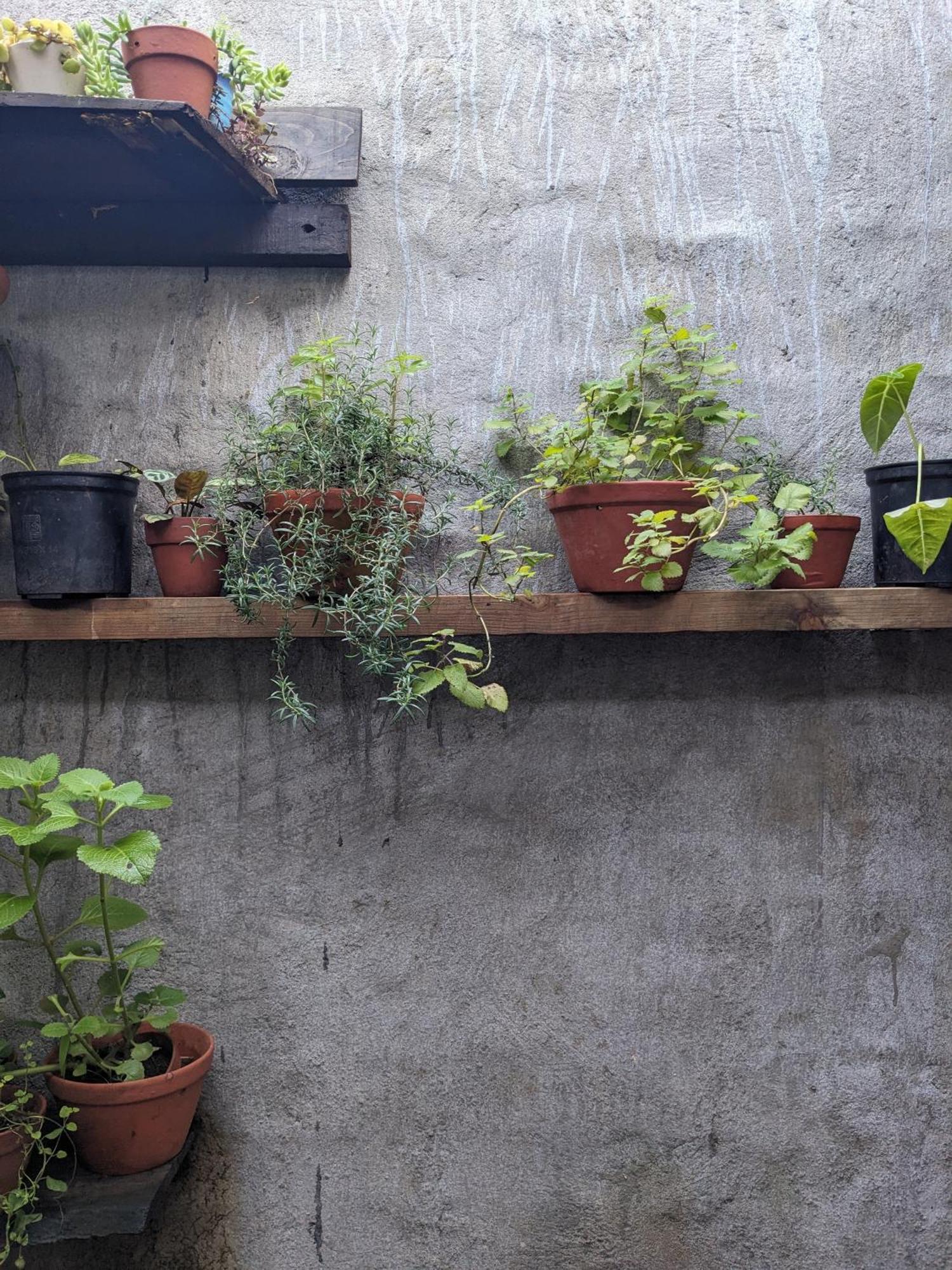 Ivy Coffee Farm - Garden House Leilighet Duc Trong Eksteriør bilde