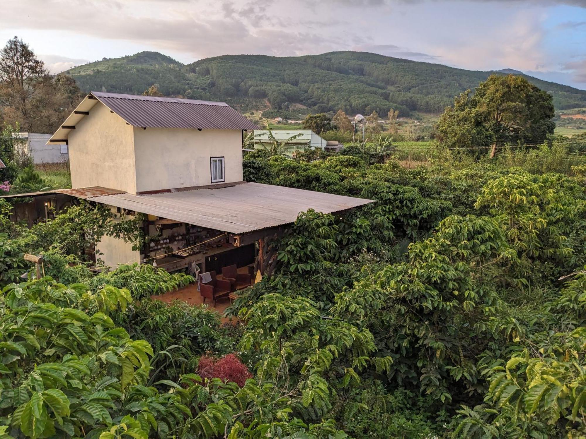Ivy Coffee Farm - Garden House Leilighet Duc Trong Eksteriør bilde