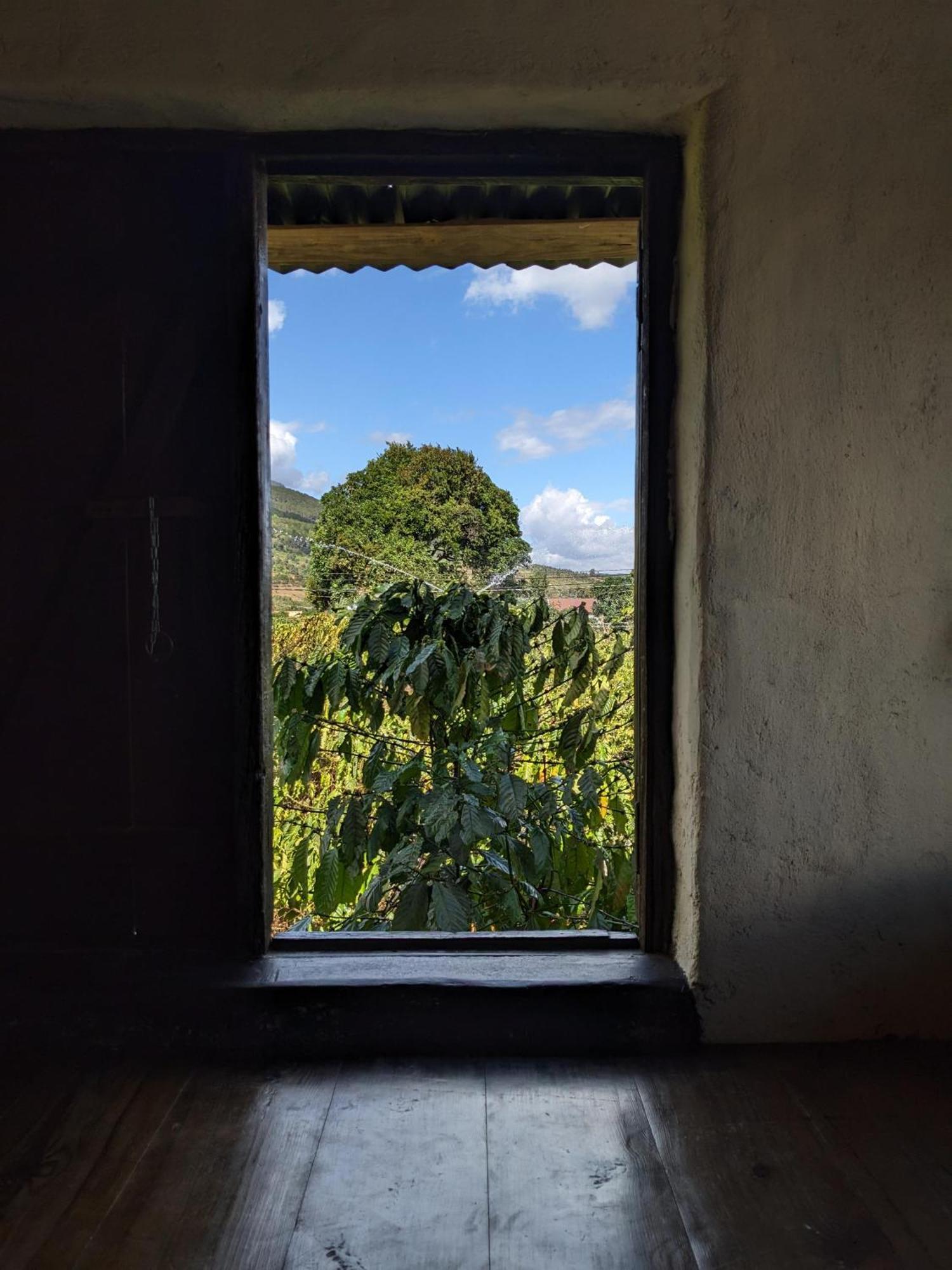 Ivy Coffee Farm - Garden House Leilighet Duc Trong Eksteriør bilde