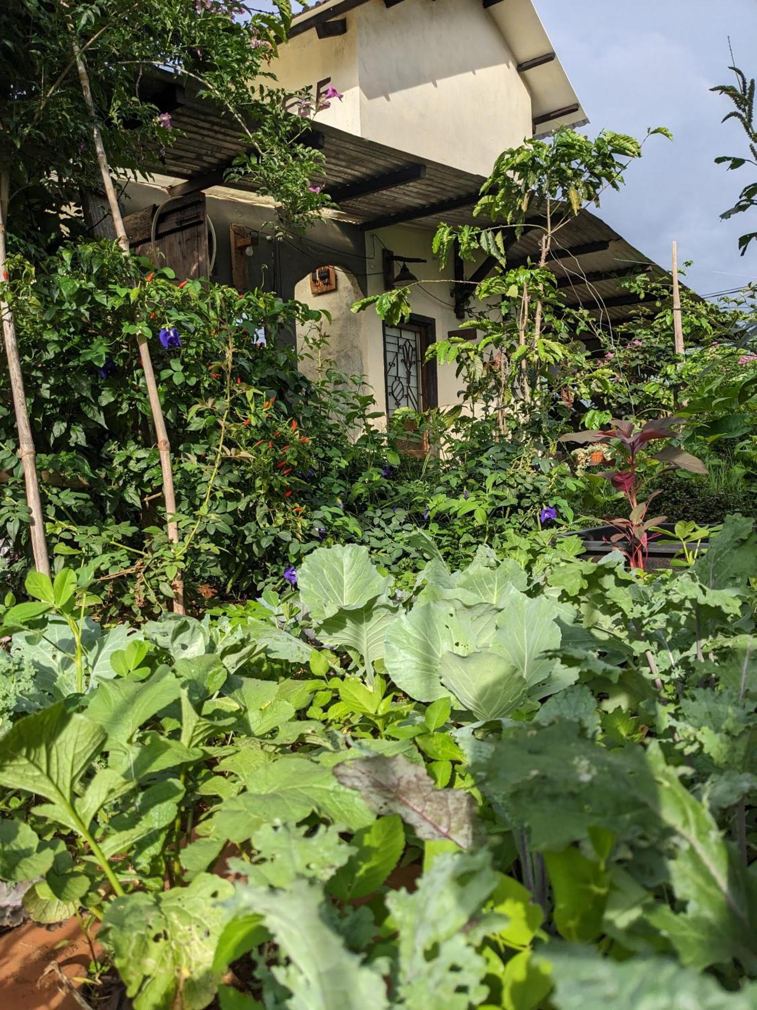 Ivy Coffee Farm - Garden House Leilighet Duc Trong Eksteriør bilde