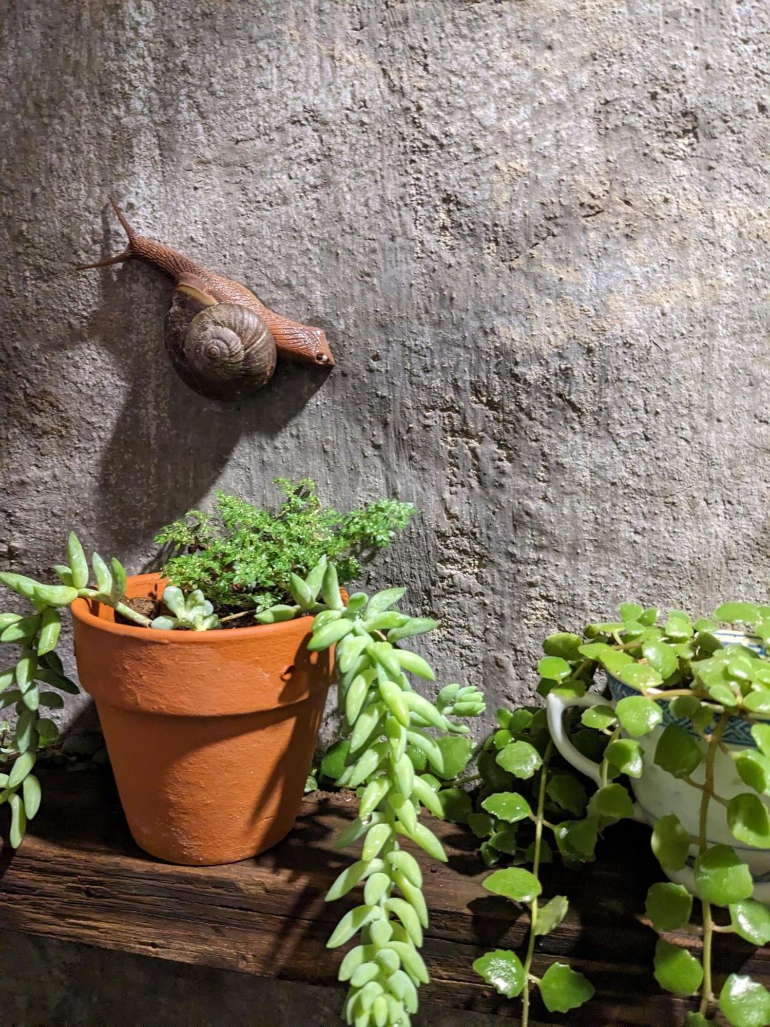 Ivy Coffee Farm - Garden House Leilighet Duc Trong Eksteriør bilde