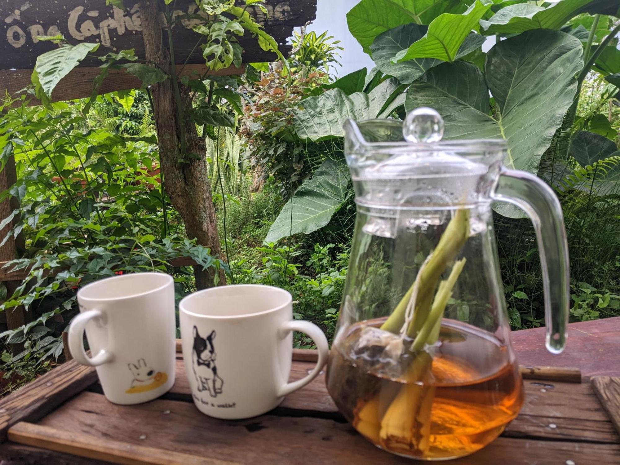 Ivy Coffee Farm - Garden House Leilighet Duc Trong Eksteriør bilde